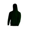 Sweat capuche 290