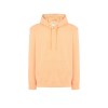 Sweat capuche 290