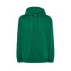 Sweat capuche 290