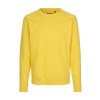 Sweat mixte