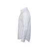 Chemise oxford homme