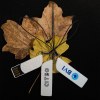 Clé USB Made in France