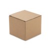 Enceinte sans fil TROPIC