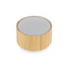 Enceinte sans fil TROPIC