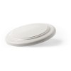 Frisbee - Ditul