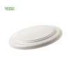 Frisbee - Ditul