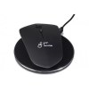souris & base induction 10W (Stock)