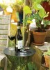 Set sommelier 3pcs Vino
