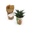 Pot carton plante