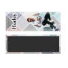 Magnet bouton rectangle - france - 115x40 mm