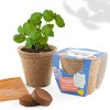 KIT DE PLANTATION AVEC POT BIODÉGRADABLE