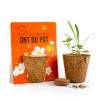 KIT DE PLANTATION EN FIBRE DE COCO BIODÉGRADABLE
