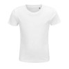 Tee-shirt enfant jersey col rond ajusté - CRUSADER KIDS