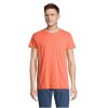 Tee-shirt homme jersey col rond ajusté - CRUSADER MEN