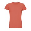 Tee-shirt homme jersey col rond ajusté - CRUSADER MEN