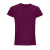 Tee-shirt homme jersey col rond ajusté - CRUSADER MEN