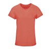 Tee-shirt femme jersey col rond ajusté - CRUSADER WOMEN