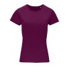 Tee-shirt femme jersey col rond ajusté - CRUSADER WOMEN