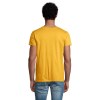 Tee-shirt homme jersey col rond ajusté - PIONEER MEN