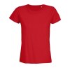Tee-shirt femme jersey col rond ajusté - PIONEER WOMEN