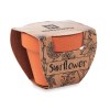 SUNFLOWER - Pot graines de tournesol