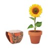 SUNFLOWER - Pot graines de tournesol