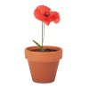 RED POPPY - Pot graines de coquelicot