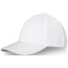 Casquette Trucker Drake 6 panneaux
