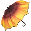 Parapluie standard FARE