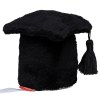 Peluche chapeau de diplômé
