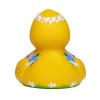 Canard voyage