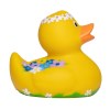 Canard voyage