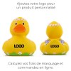 Canard voyage