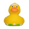 Canard voyage