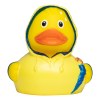Canard voyage