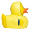 Canard voyage