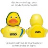 Canard voyage