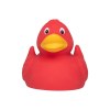 Canard uni