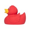 Canard uni