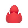 Canard uni