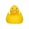Canard uni