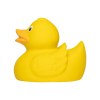 Canard uni