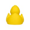Canard uni