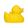 Canard uni