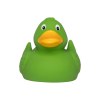 Canard uni