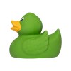 Canard uni