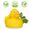 Canard uni