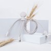 Mr Bio Long - Câble d'1 M avec une double entrée Type C/USB