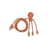 Mr Bio Long - Câble d'1 M avec une double entrée Type C/USB