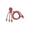 Mr Bio Long - Câble d'1 M avec une double entrée Type C/USB